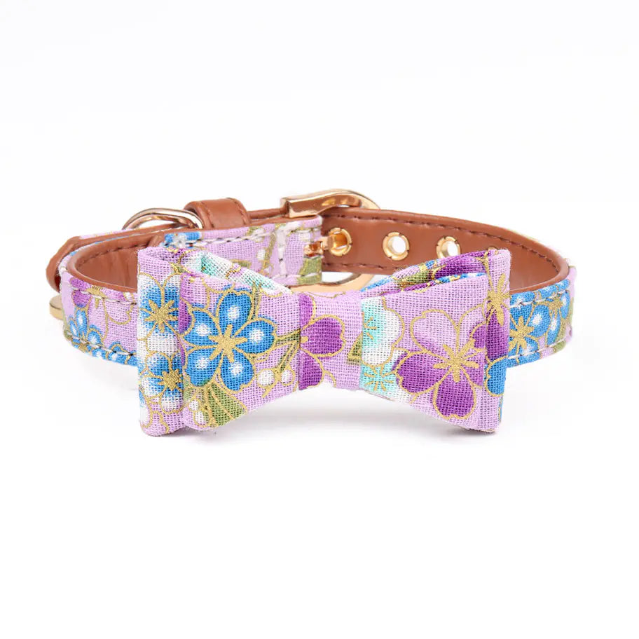 Gold Foil Pet Collar for Dogs and Cats - Pet Accessories